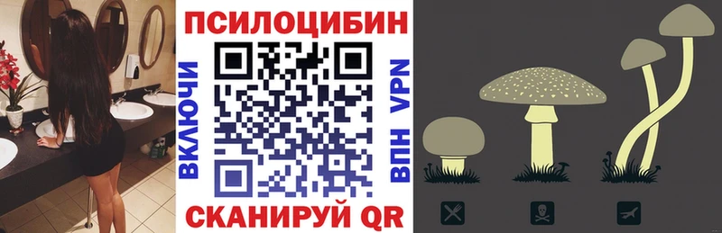 Псилоцибиновые грибы Psilocybine cubensis  Купить  Батайск 